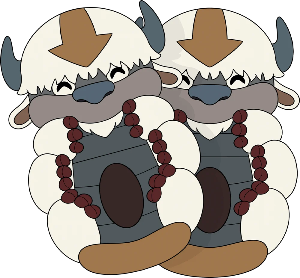 Appa Slippers