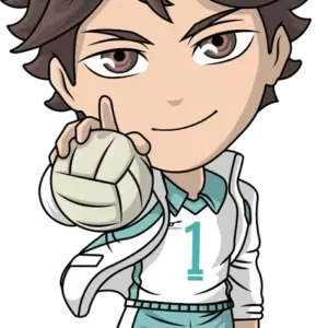 Toru Oikawa
