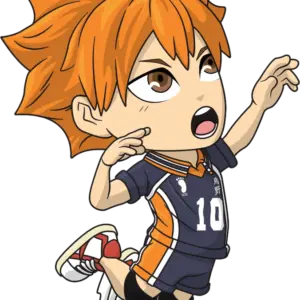 Shoyo Hinata